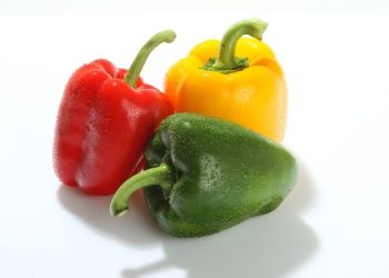 Capsicum Farming (Colored), Bell Pepper Cultivation Tips