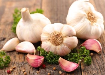 Garlic Farming; Planting; Care; Harvesting – A Full Guide