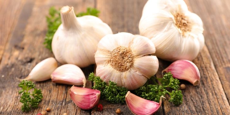 Garlic Farming; Planting; Care; Harvesting – A Full Guide