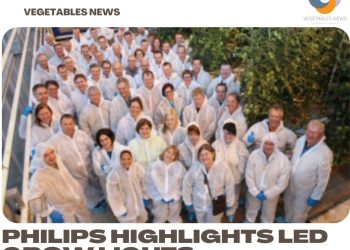 Philips highlights LED grow lights in greenhouses