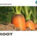 Planting Root Vegetables – Growing Root Vegetables
