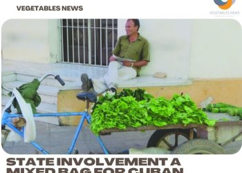 State involvement a mixed bag for Cuban growers