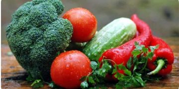 Vegetable Seeds for Rainy, Summer, and Winter Season