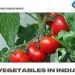Rainy Season Vegetables in India
