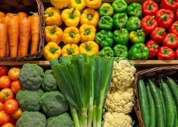 Tomsk vegetable growers will supply their products to Pyaterochka