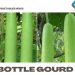 Growing Organic Bottle Gourd – A Planting Guide