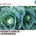 Vegetable Farming In Karnataka – Planting Calendar