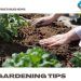 Vegetable Gardening Tips (Planting), and Techniques