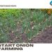 How To Start Onion Farming, Questions, Answers