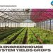 Greenhouse system yields crops, electricity
