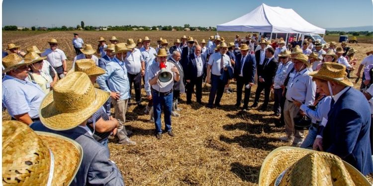 VIII annual scientific and practical seminar