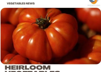 Growing Heirloom Vegetables – Tips, Ideas, and Secrets