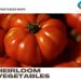 Growing Heirloom Vegetables – Tips, Ideas, and Secrets