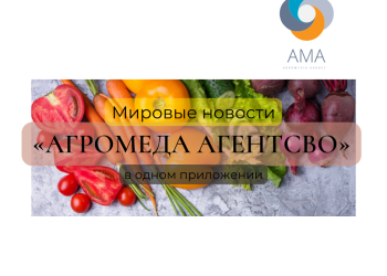 Мировые и Российские новости на Русском языке