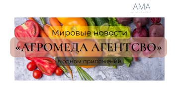 Мировые и Российские новости на Русском языке
