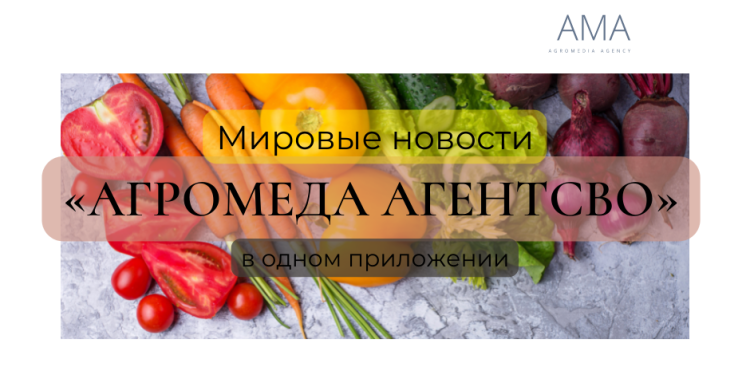 Мировые и Российские новости на Русском языке