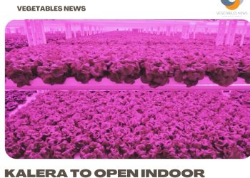 Kalera to open indoor vertical farm in Atlanta