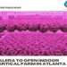 Kalera to open indoor vertical farm in Atlanta