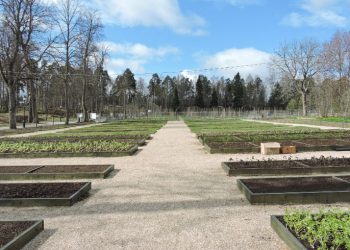 A complex of manor gardens was restored in Mon Repos