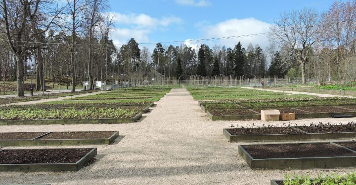 A complex of manor gardens was restored in Mon Repos
