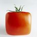 Belgian company plans to release small square tomatoes