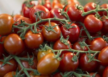 There will be more local vegetables in Stavropol stores