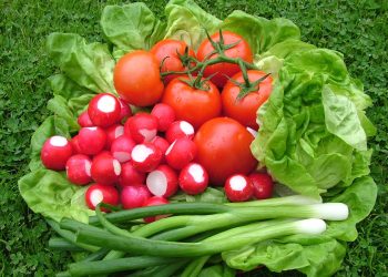 Weather in the CIS: snow fell in the mountains of Kyrgyzstan, early vegetables began to be harvested in Tajikistan