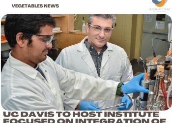 UC Davis to host institute focused on integration of AI technologies