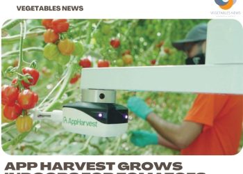 AppHarvest grows indoors for tomatoes, other produce