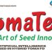 Artificial intelligence used in hybrid tomato breeding