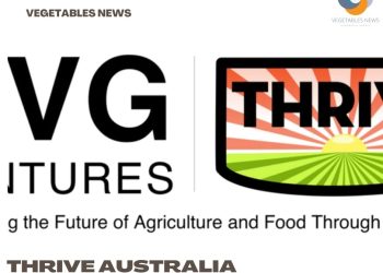 Thrive Australia Challenge winners, investment startups named