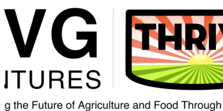 Thrive Australia Challenge winners, investment startups named