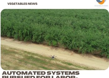 Automated systems pursued for labor-intensive specialty crops