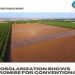 Biosolarization shows promise for conventional, organic growers