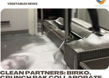 Clean Partners: Birko, Crunch Pak collaborate on fresh-cut sanitation