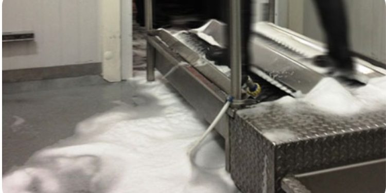 Clean Partners: Birko, Crunch Pak collaborate on fresh-cut sanitation