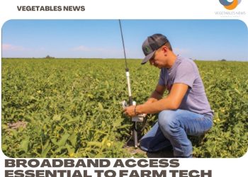 Broadband access essential to farm tech growth