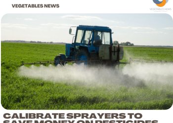 Calibrate sprayers to save money on pesticides