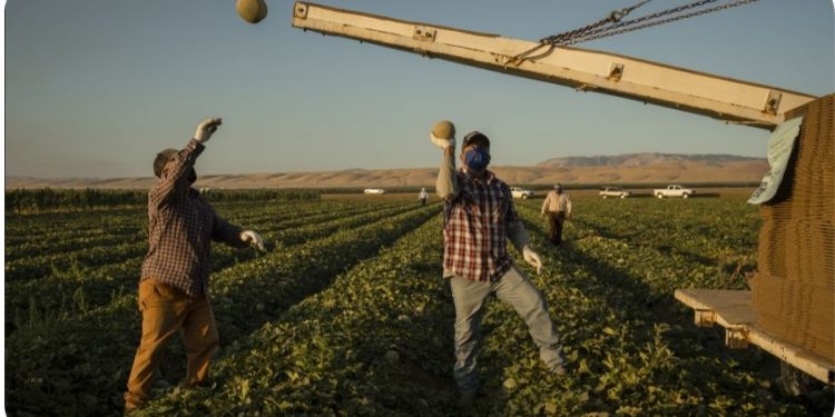 Funds for ‘climate smart’ farming added to California budget