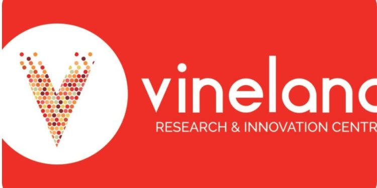 New innovation partnership to advance automation for Canadian vegetable growers