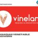 New innovation partnership to advance automation for Canadian vegetable growers