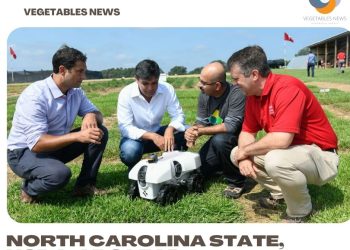 North Carolina State, USDA-ARS lead sustainability of ag effort