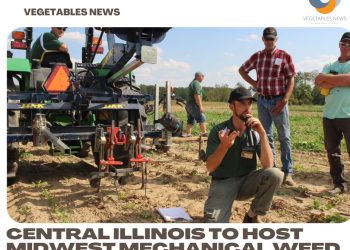 Central Illinois to host Midwest Mechanical Weed Control Field Day