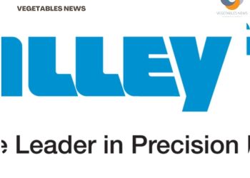 Customized solar solutions for agriculture offered by Valley Irrigation