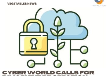 Cyber world calls for diligent IT protection