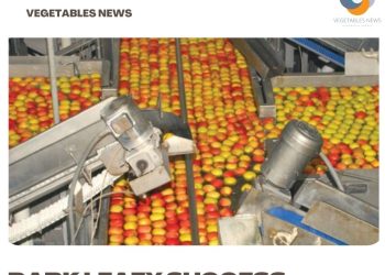 Defying the Elements