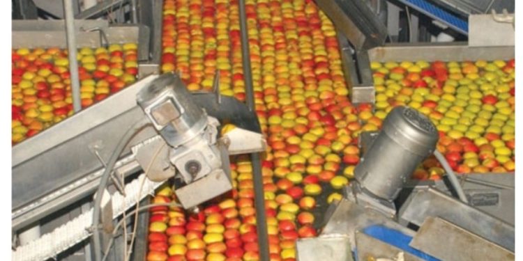 Defying the Elements