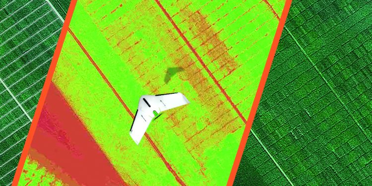 Phenome Networks, Delair boost breeding, variety testing with drone data