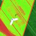 Phenome Networks, Delair boost breeding, variety testing with drone data