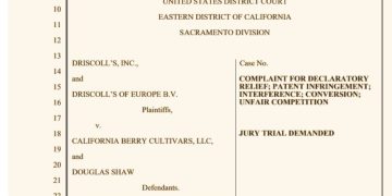Driscoll’s alleges ‘patent infringement’ by California Berry Cultivars